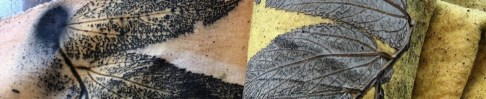 Botanical printing_NB